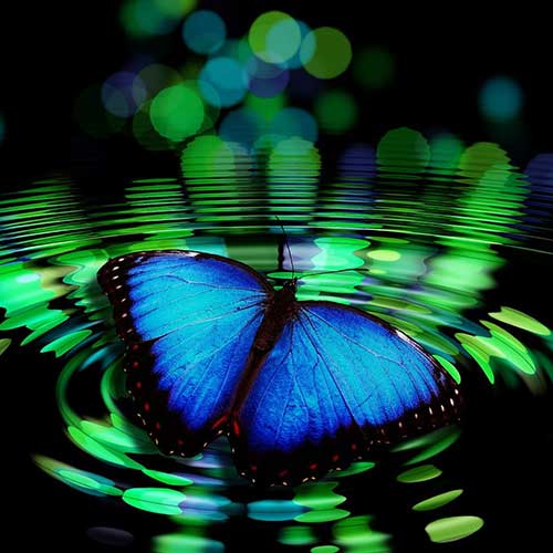 colorado-springs-alternative-medicine-healing-manitou-wellness-spiritual-wellness