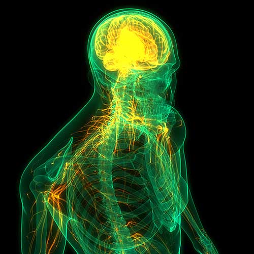 manitou-wellness-center-colorado-springs-craniosacral-therapy-therapy